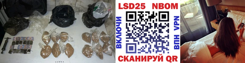 блэк спрут зеркало  Дмитриев  LSD-25 экстази кислота 